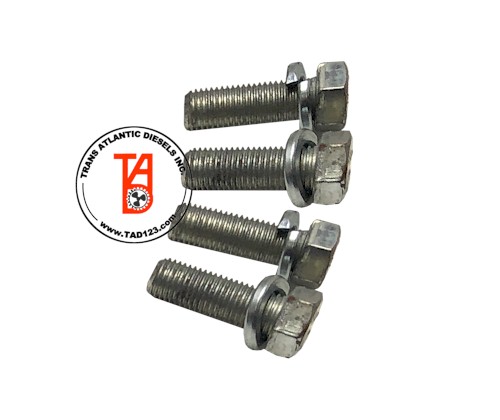 Crank Pulley Mounting Bolts